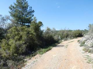 Cervera del Maestre,  ES