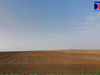 Lebrija,  ES