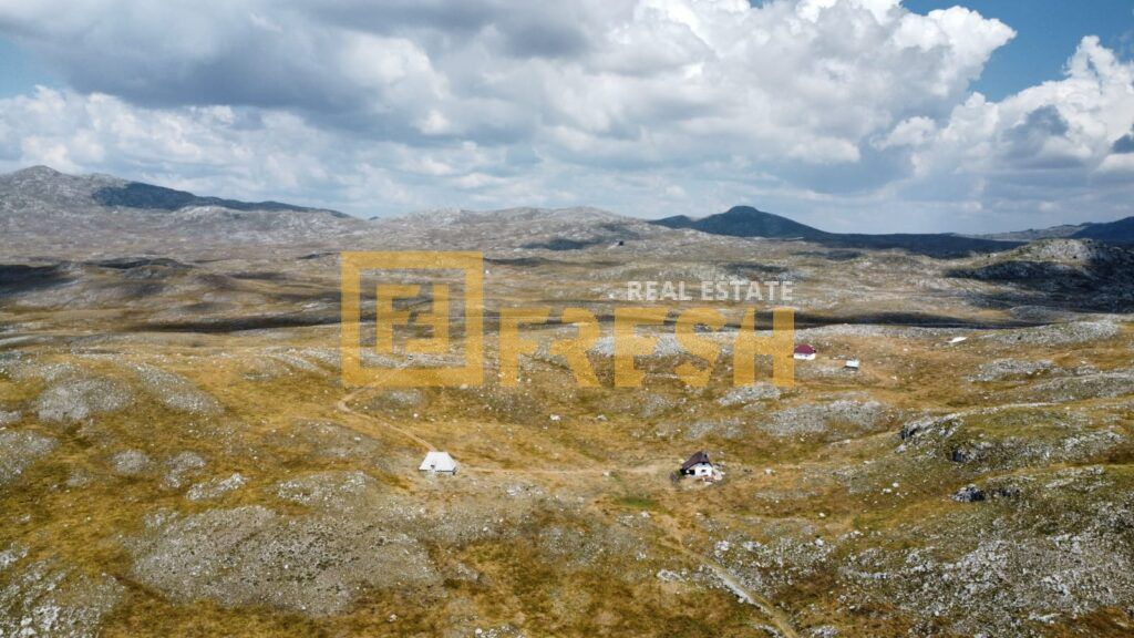 Northern Region, Savnik