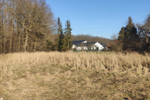 Gostyń
