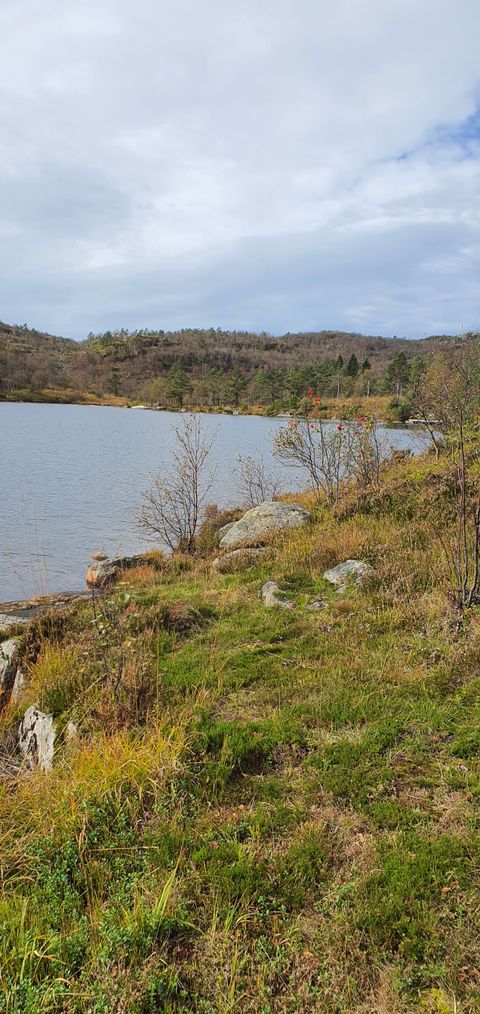 Josevannsveien 124, Lyngdal