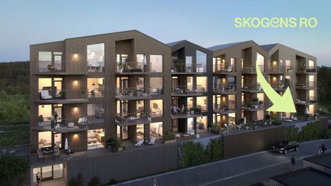 Moldberget 200, Sandnes
