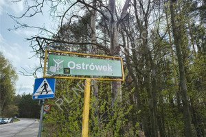 Ostrówek