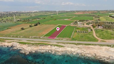 Ormideia, Larnaca