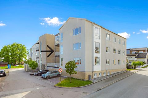Ysterigata 1, Stokke