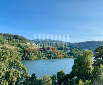 Oliveira,  PT