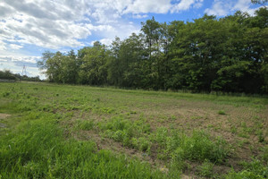 Paczkowo