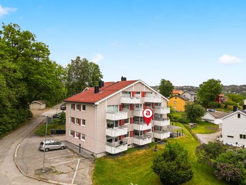 Niels A.Stangs gate 6, Halden
