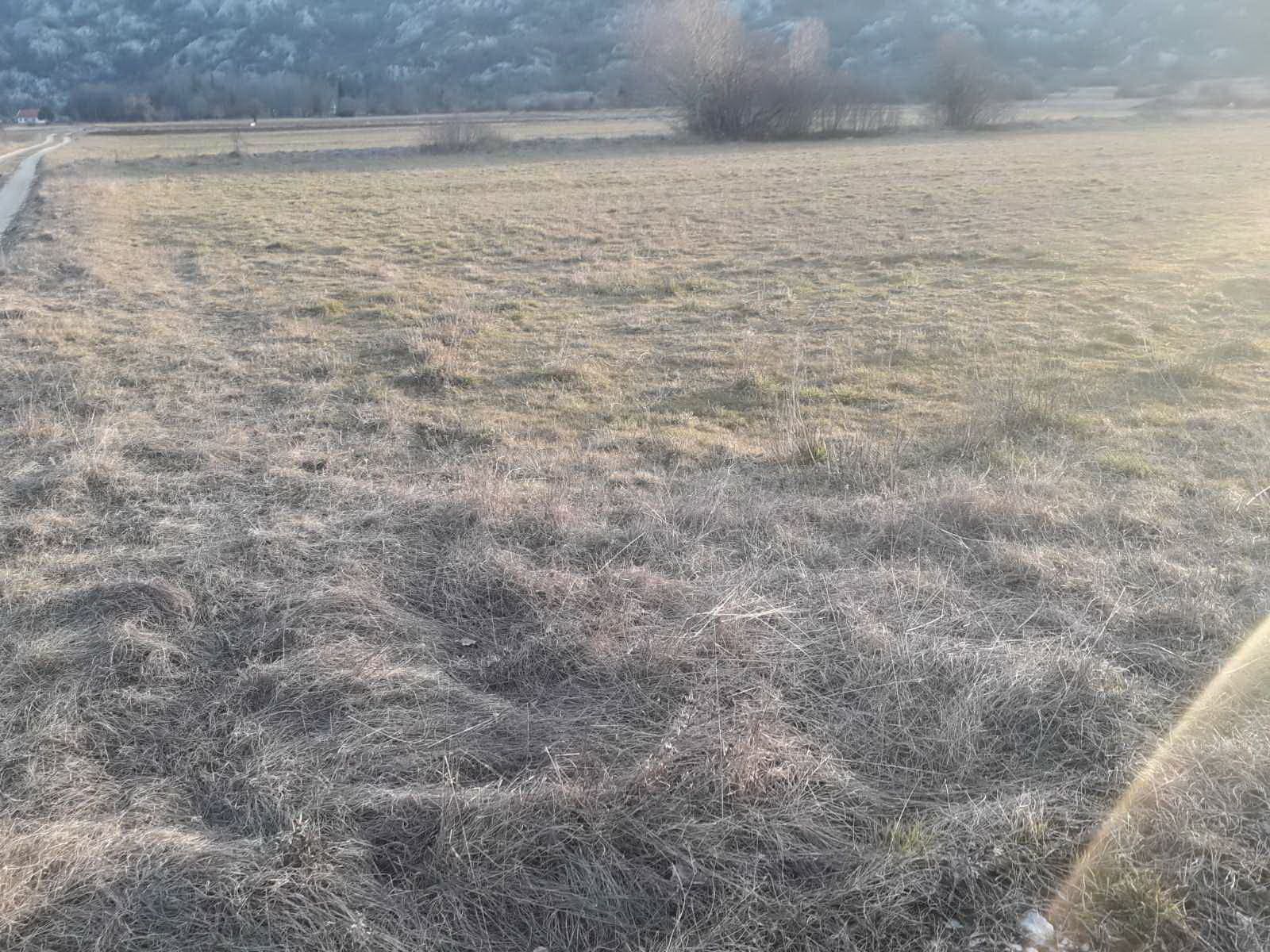 Niksic, Grahovo