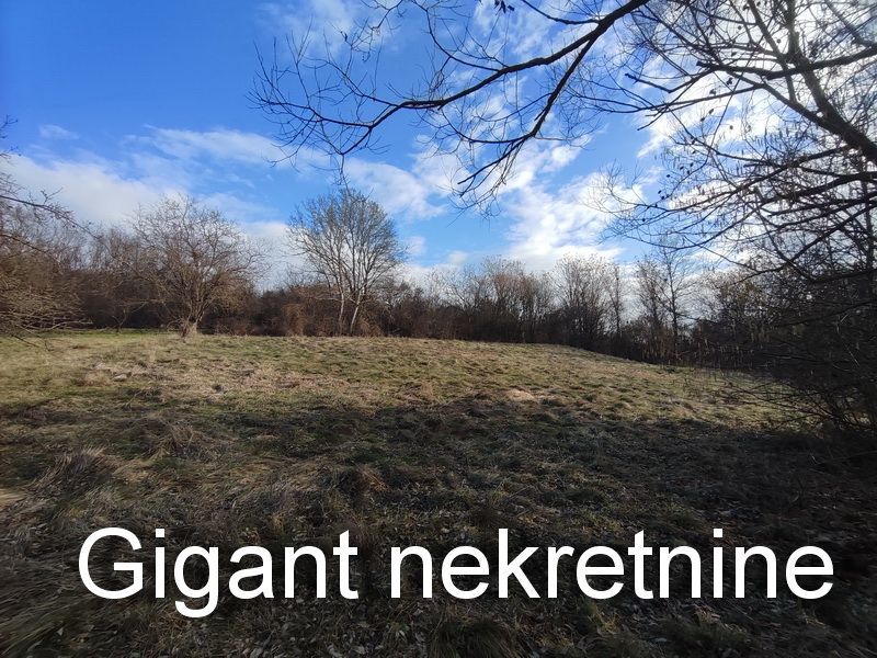 Zajecar District, Sokobanja