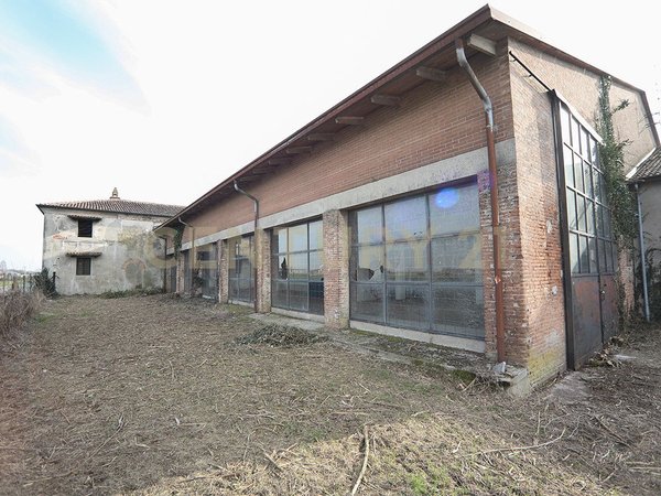 Bovolone,  IT