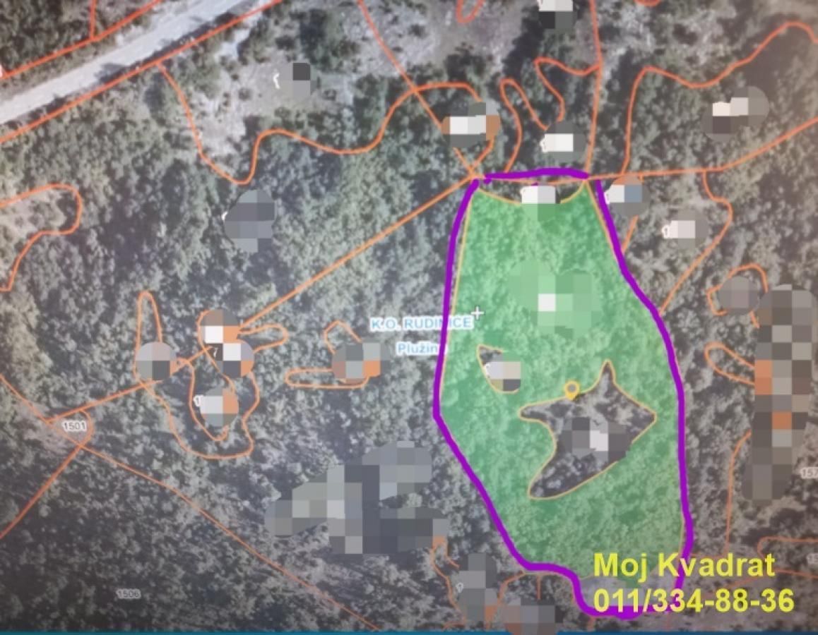 Pluzine, Center