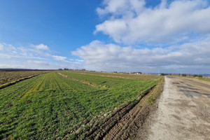 Skała