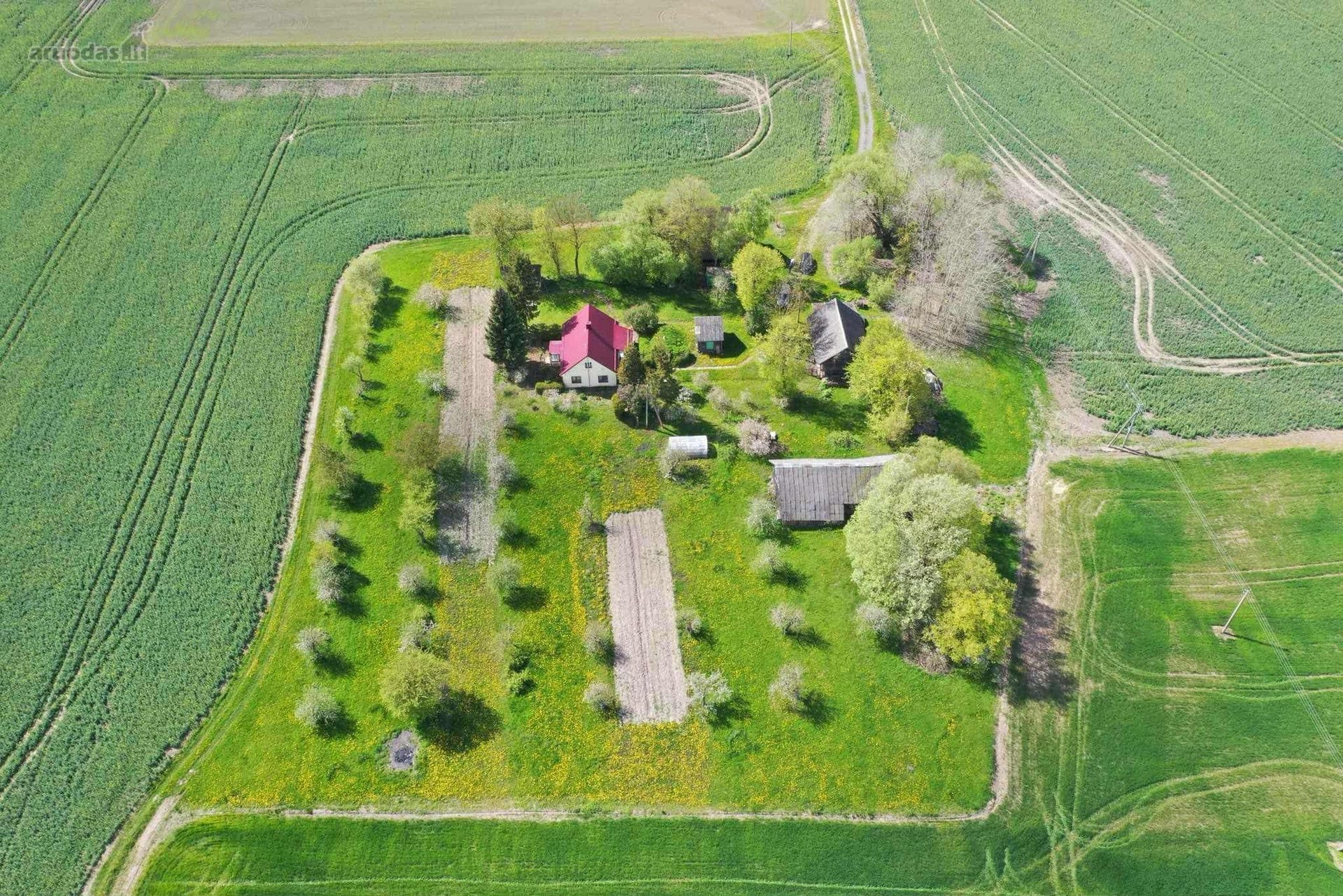 Pasvalio r. sav., Šimonių k. Svirpliškio g.