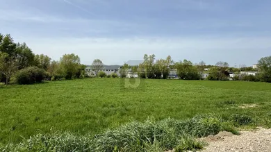 7032 Sigleß