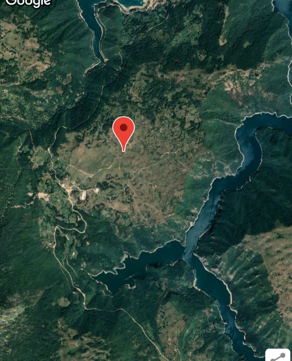 Northern Region, Pluzine