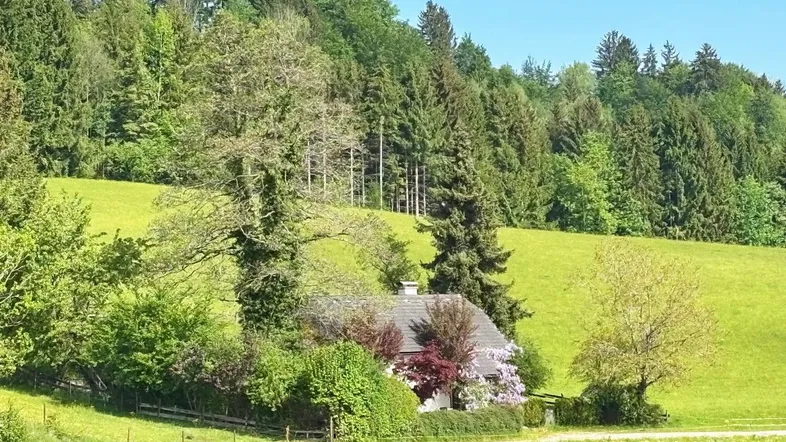 4894 Oberhofen am Irrsee