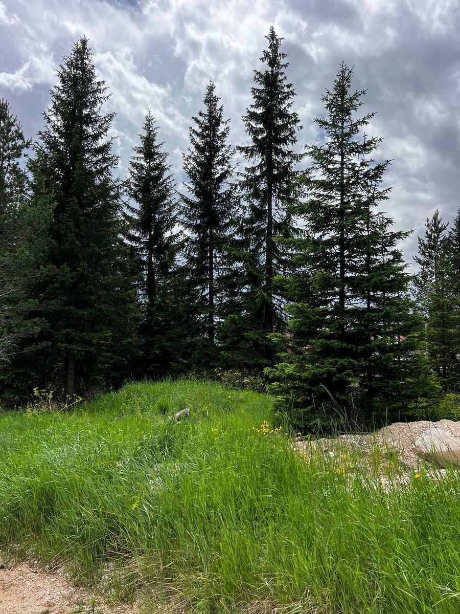 Northern Region, Zabljak