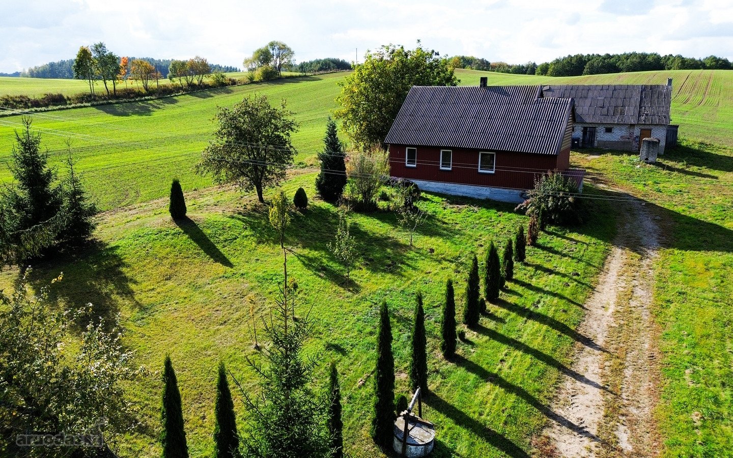 Vilkaviškio r. sav., Trilaukio k. Vienkiemių g.