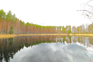 Veitturintie, Lemi, Lemi