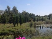 Kelmės r. sav. Noreišių k.
