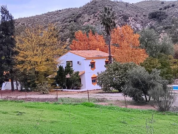 Mairena del Alcor,  ES