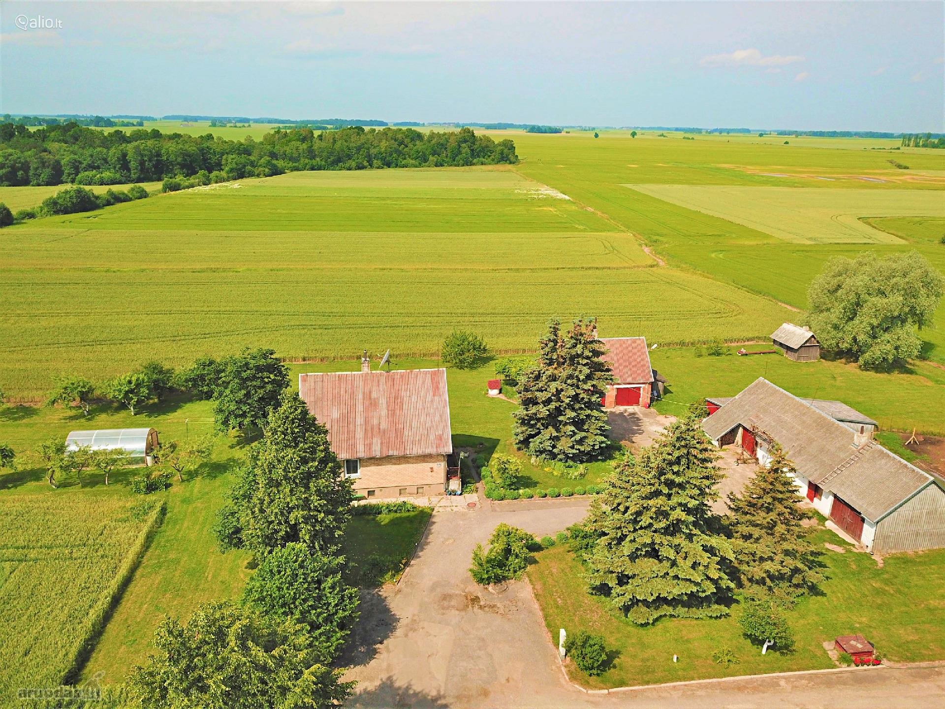Pakruojo r. sav., Draudelių k. Liepų g.