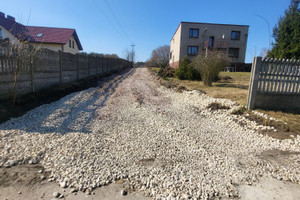 Brzeziny