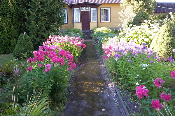 house for sale - Rohu, Vinni vald, Lääne-Virumaa