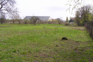 Grójec