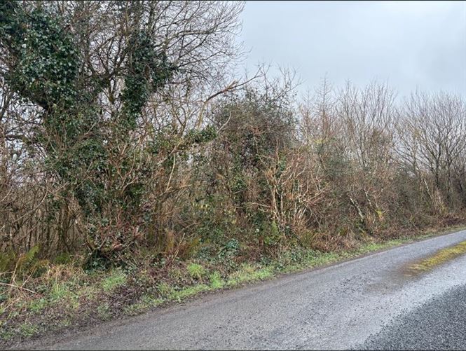 Land/Wood 0.90HA (2.22 ACRES) Doonbeg Road, , Kilrush, Clare