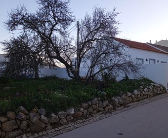 Mexilhoeira Grande,  PT