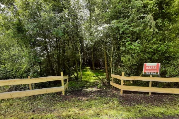 Woodlawn, Ballinasloe, Co. Galway