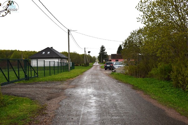 Ida-Virumaa, Jõhvi vald, Pauliku