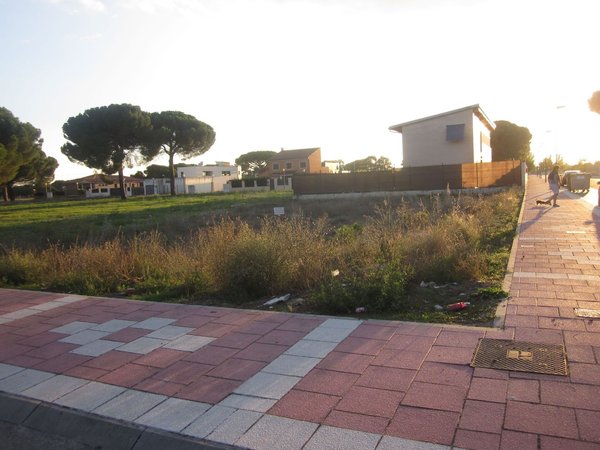Viana de Cega,  ES