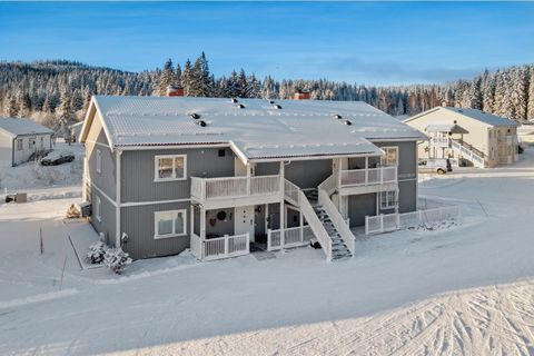 Sveavegen 40, Grua