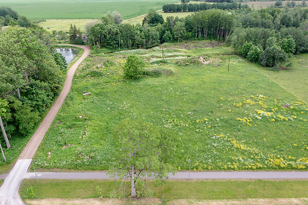 Järvamaa, Paide, Viisu
