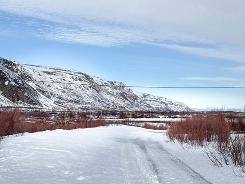 Hiirijavri 160 M0121 kuru / grøften, Lakselv