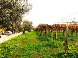 Vasto,  IT
