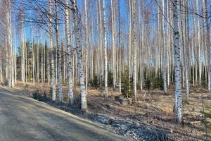 Harjulantie 2, Pulkkila, Asikkala