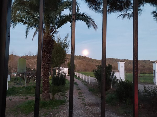 Posadas,  ES
