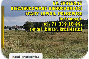Jawor