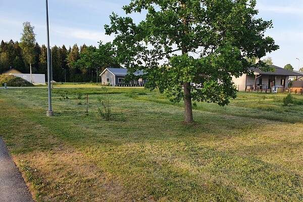 plot for sale, residential land - Tiigi tn 8, Türi linn, Türi vald, Järvamaa