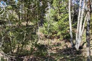 Keskiortentie 2 (Yläortentie 1), Loukinainen, Lieto