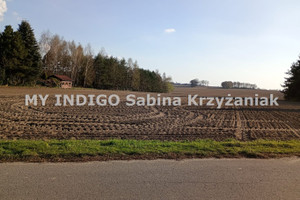 Pilchowice