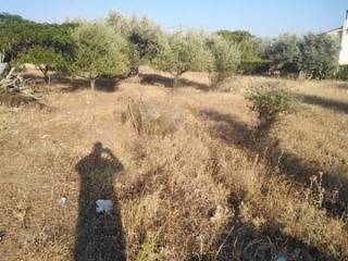 Eretria,  GR