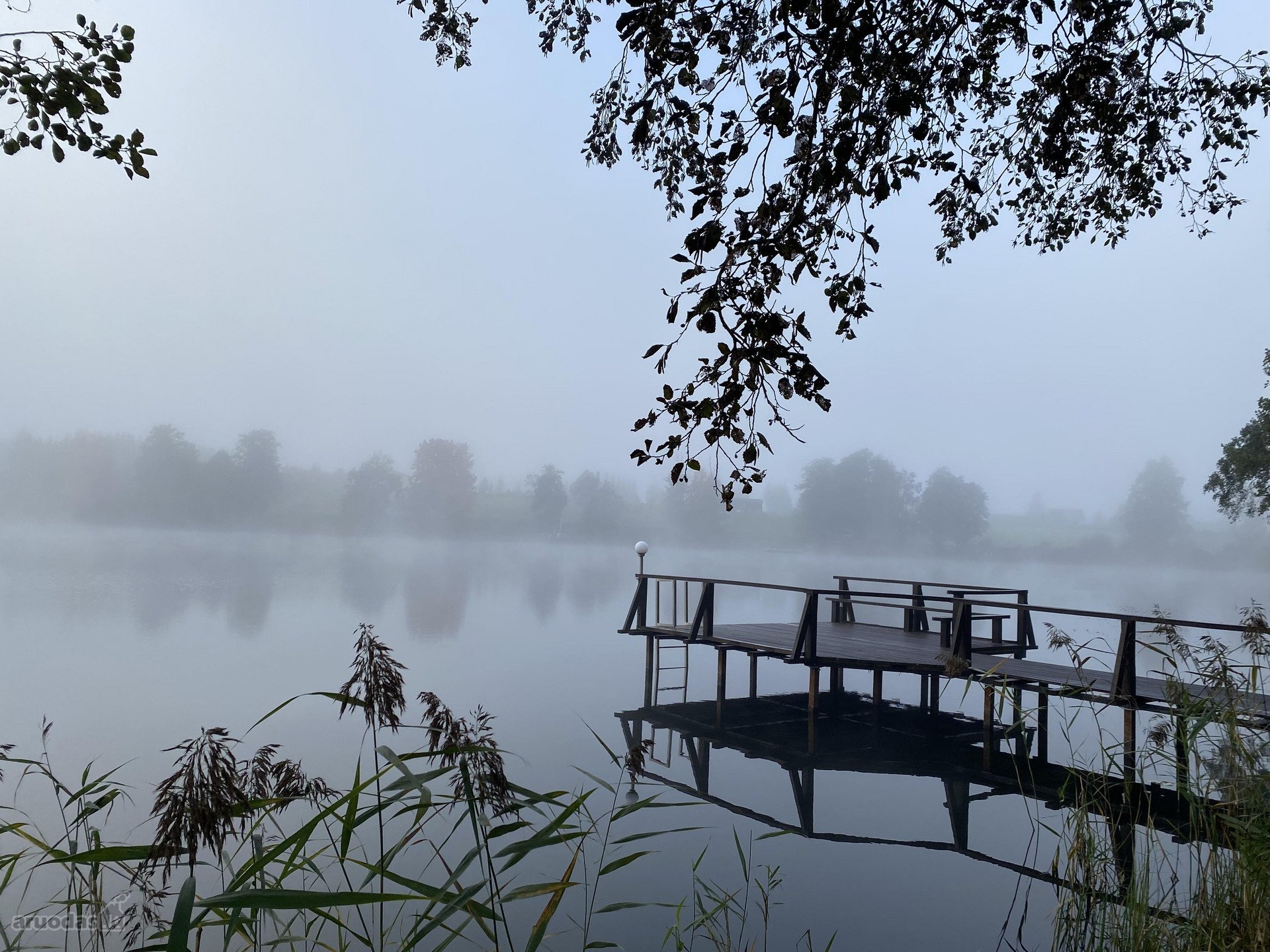 Molėtų r. sav., Gruodžių k. Gruodžių g.