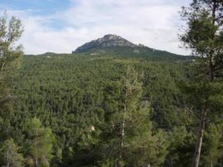 Moratalla,  ES