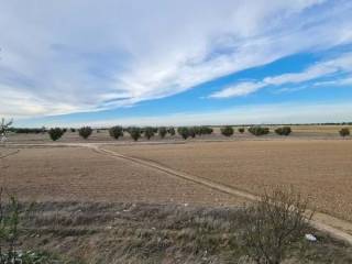 Ciempozuelos,  ES