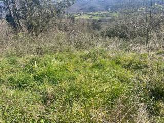Langreo,  ES